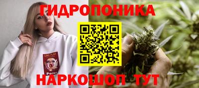 мдпв Дубна