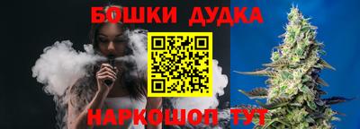 мдпв Дубна